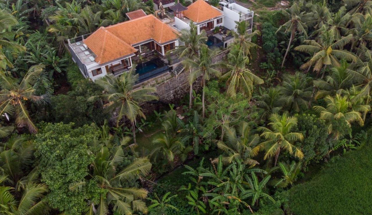 Villa Alam Surya, Mas Ubud Esterno foto