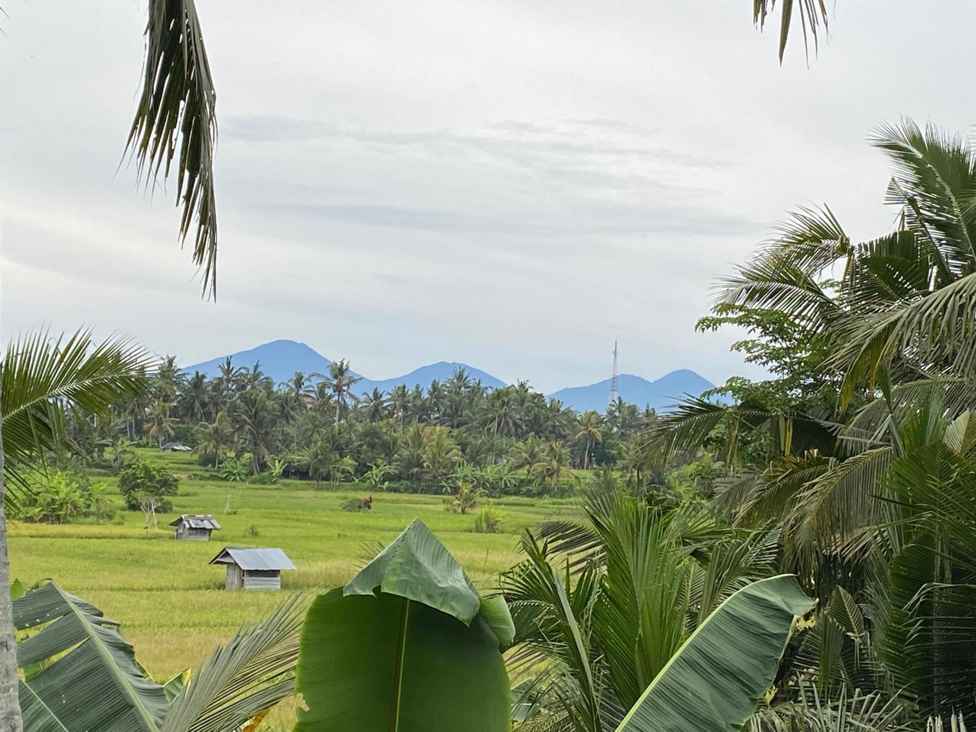 Villa Alam Surya, Mas Ubud Esterno foto
